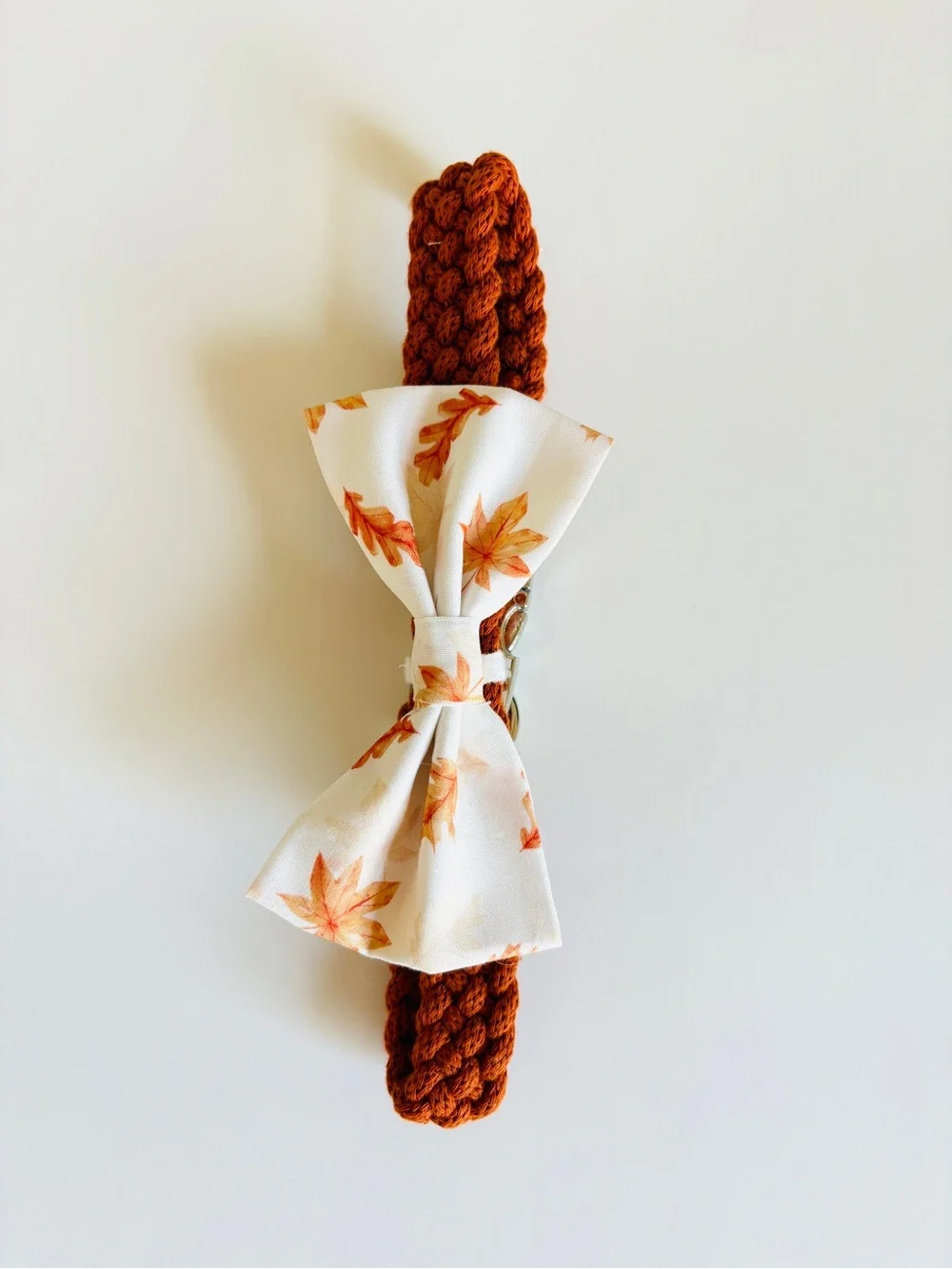 Autumn Bow for Dogs